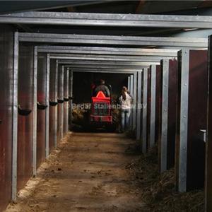 System for mechanical manure removal